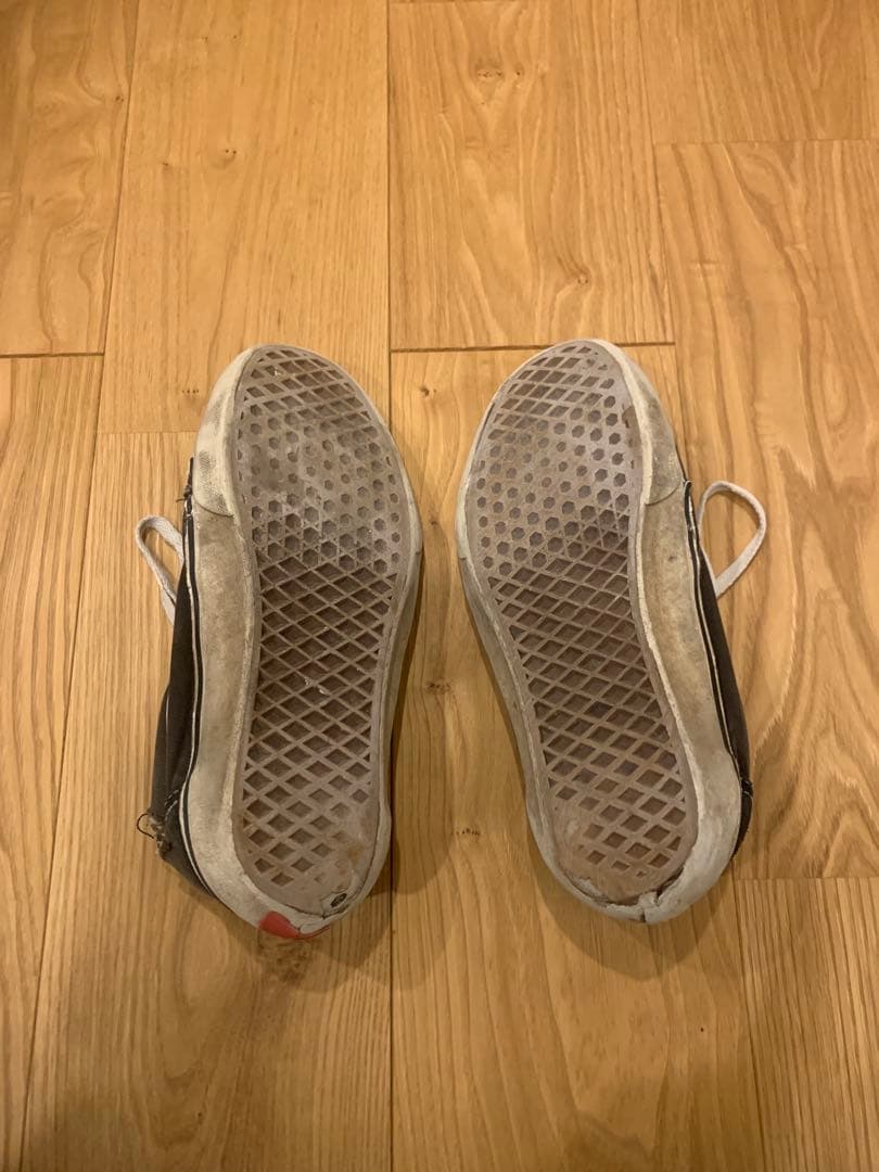 スケートボード vans dog tawn