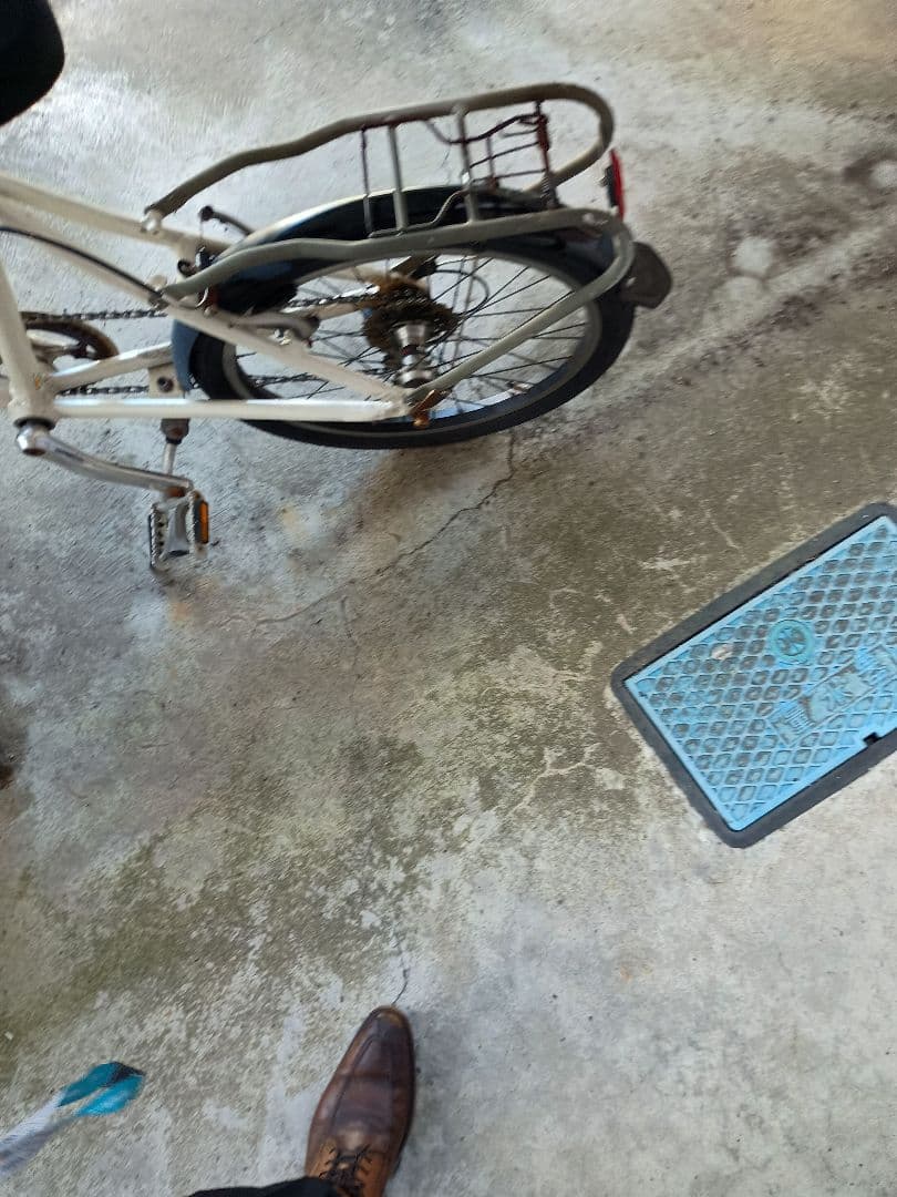 Bianchi ミニベロ ホワイト　ピサ