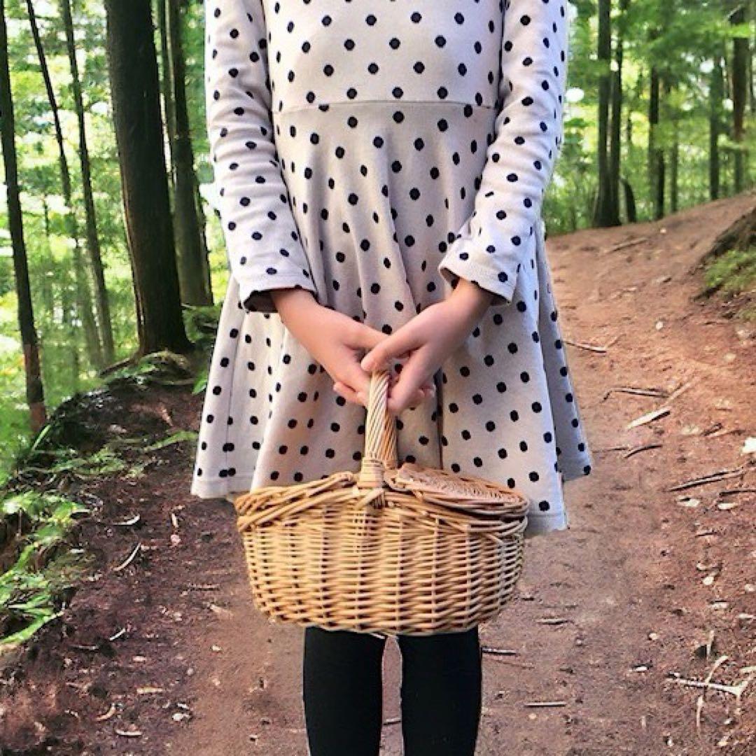 ハンギングバスケット　洗えるかご　リモコン入れやドライフラワー飾りなどに