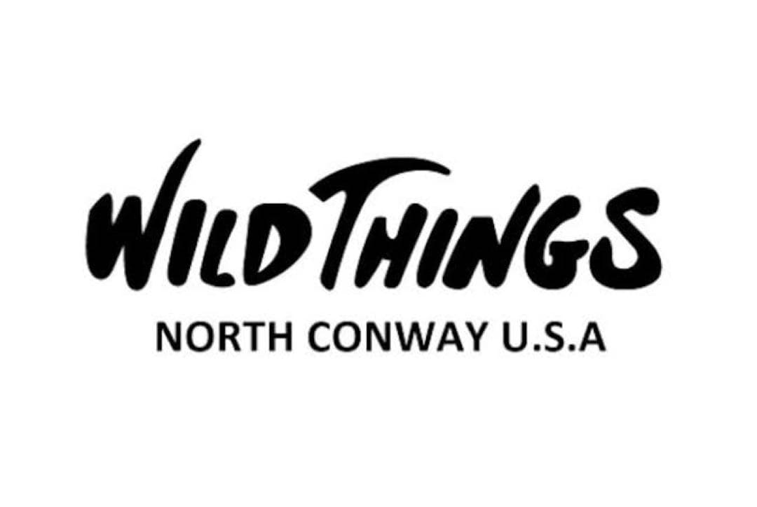 【美品】WILD THINGS×ナノユニバース 別注 モンスターパーカー　カーキ
