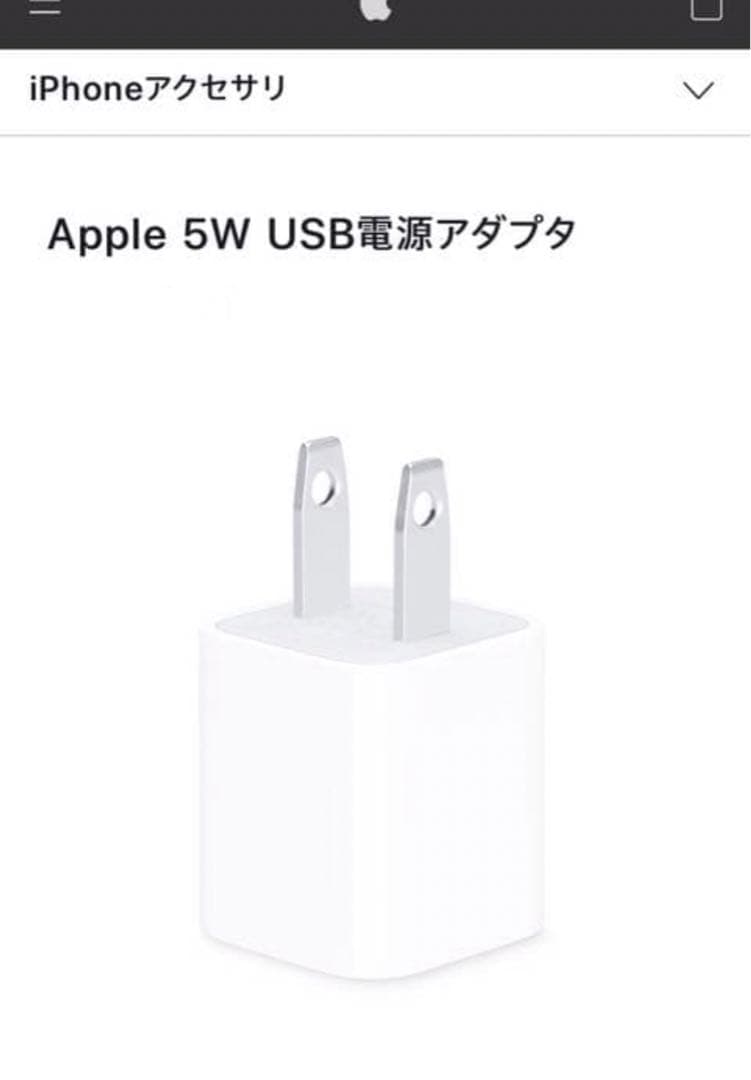 Apple製AirPods Pro 第1世代 動作確認済｜傷ありB