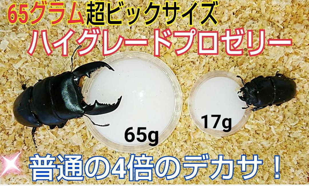 ビッグサイズ！ハイグレードプロゼリー☆200個　普通の4倍以上のデカサ！プロ仕様