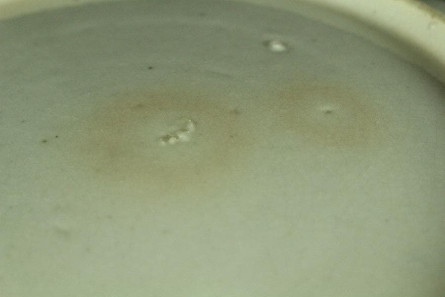 古美術 青花 染付 竹虎絵 皿 藍柿 古伊万里(K-YC553)