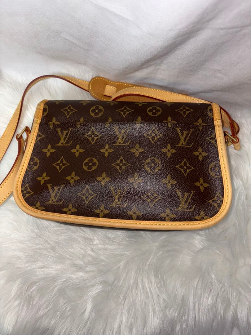 ⭐️ルイ・ヴィトン・ソローニュショルダーバック