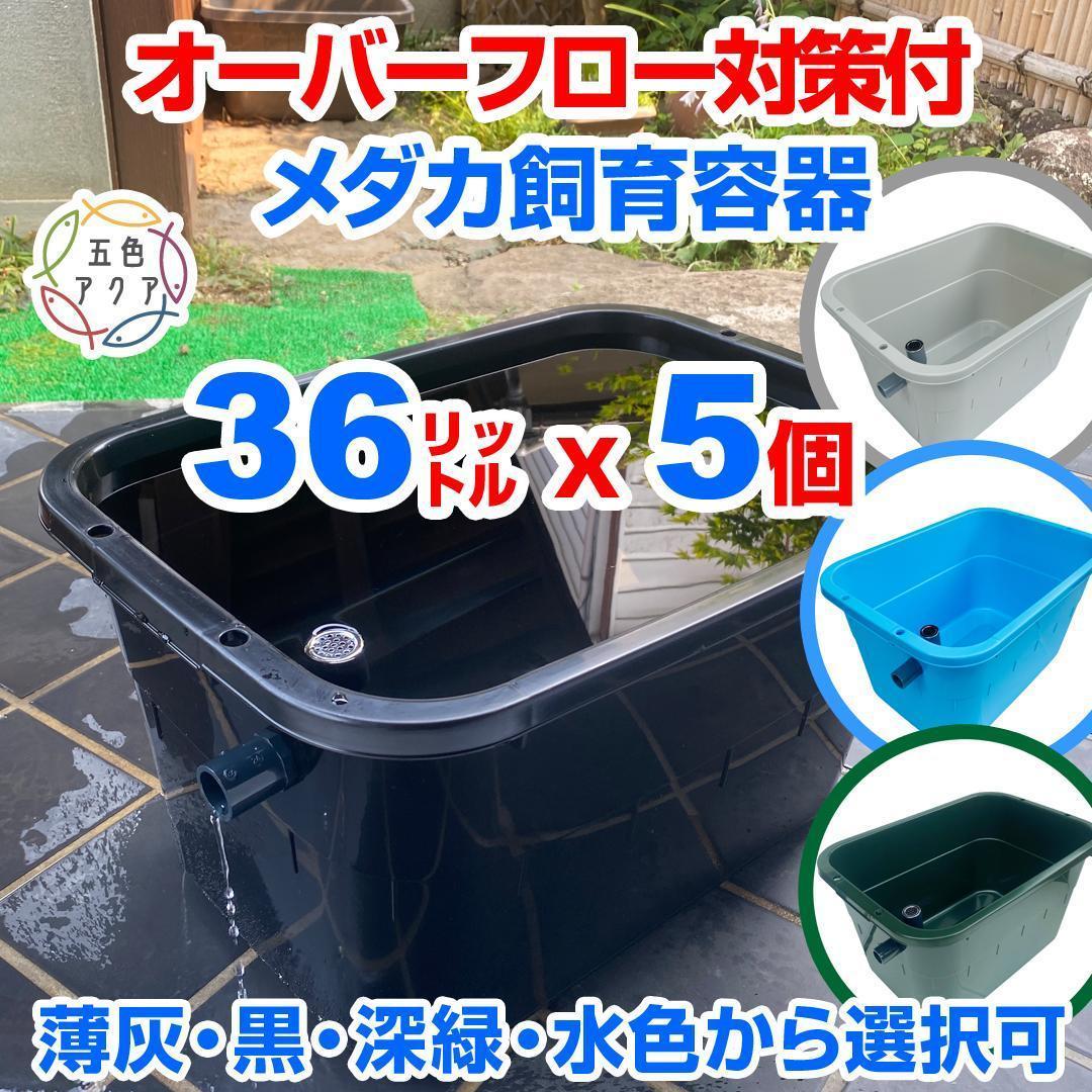 メダカ飼育ケース 36㍑x5個（4色あり） オーバーフロー対策済 金魚飼育容器