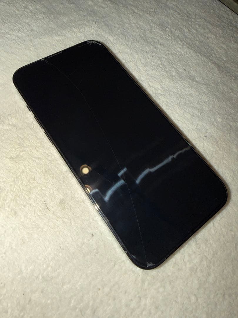 専用　iPhone 13 Pro Max 256GB /SIMフリー/