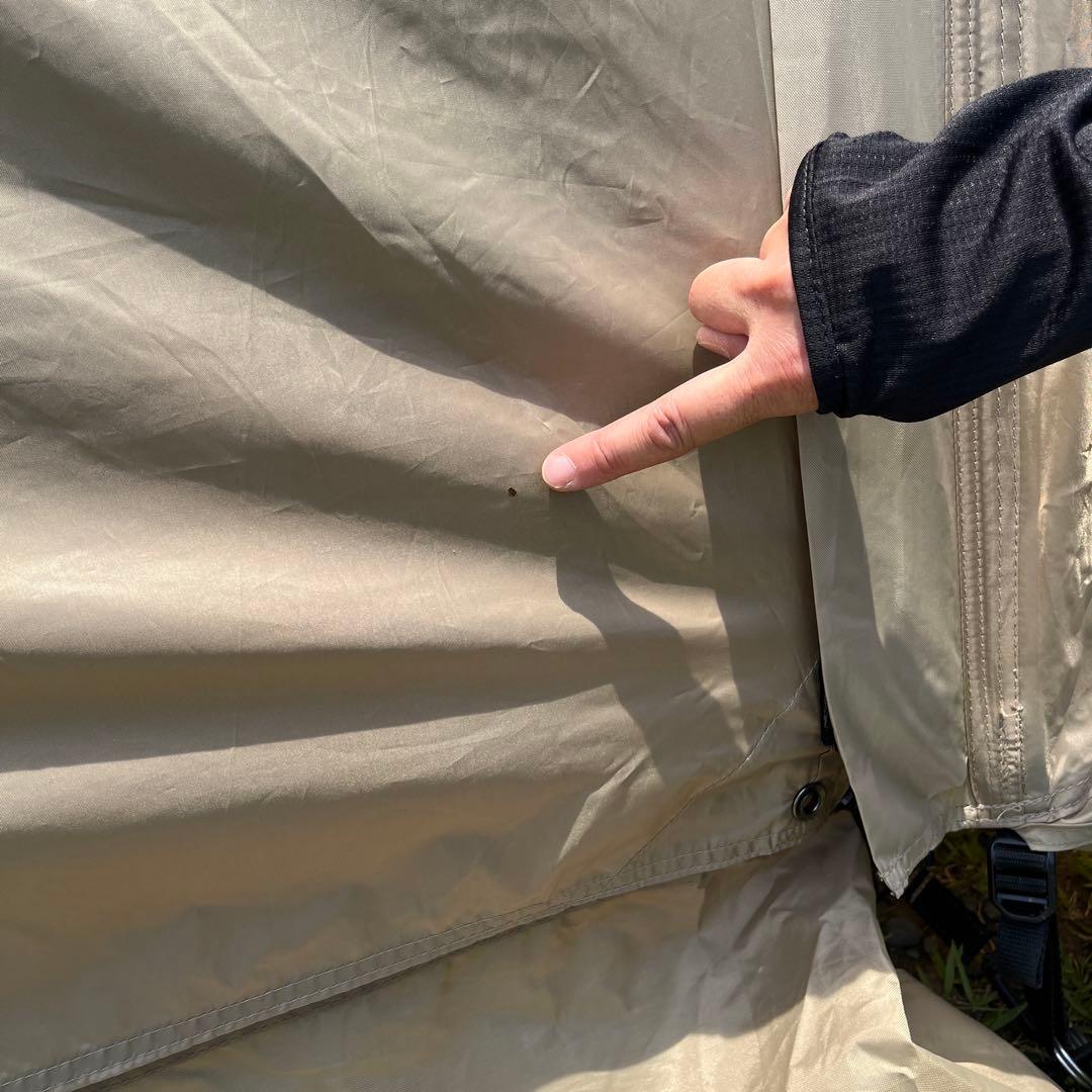 サバティカル アルニカ