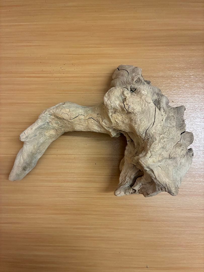 一点物 流木オブジェ|爬虫類・魚｜高さ約75cm Y字型｜大型インテリア