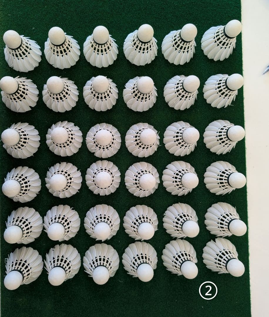 NEW OFFICIAL F4 10ダース