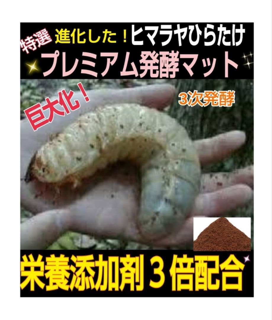 ヘラクレスが巨大化！極上☆プレミアム3次発酵マット【50L】特殊アミノ酸強化配合
