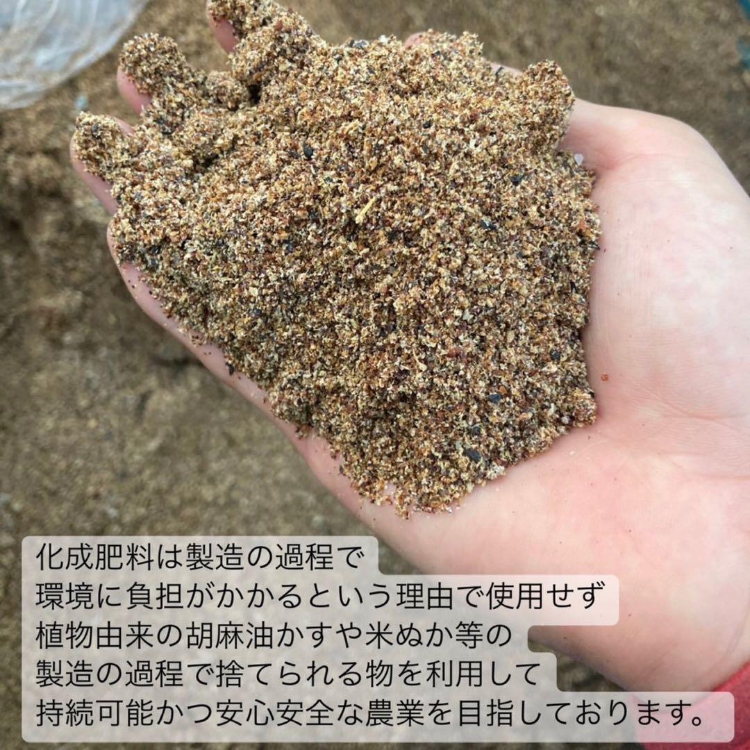 【農薬不使用】日本茶8種類飲み比べセット各(3個入り×8種類)