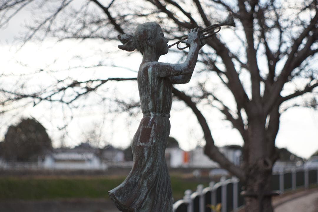 【富岡光学 ヤシカ】 Auto Yashinon-DX 50mm F2