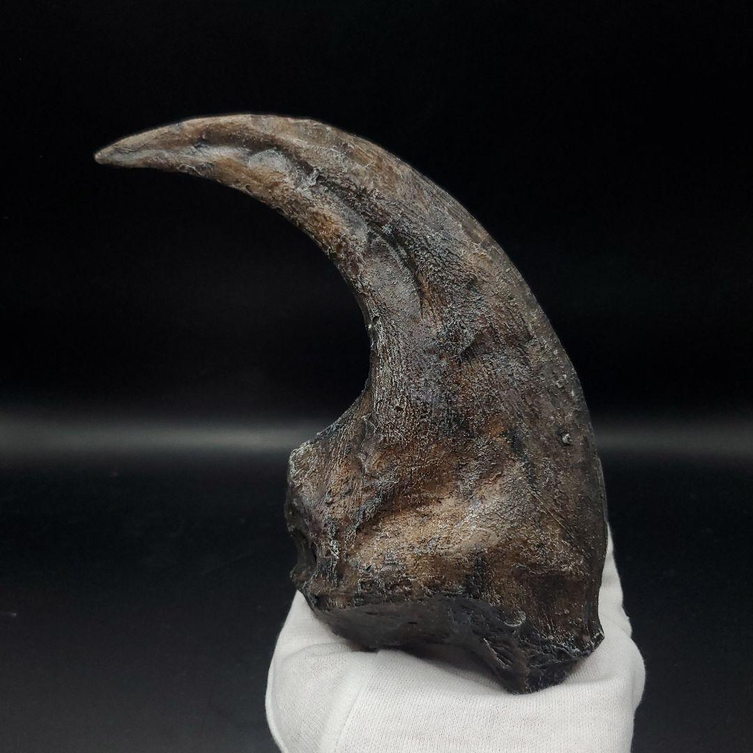 アロサウルス 爪 化石 レプリカ 約175,06mm  arr13