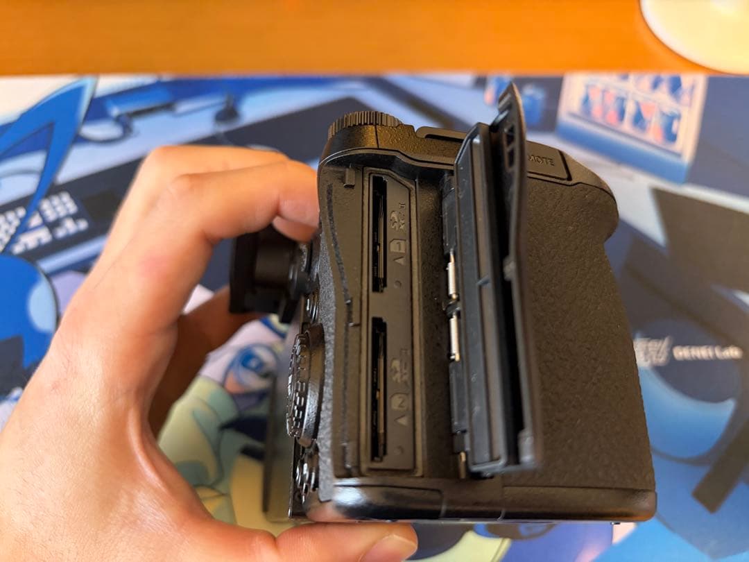 Panasonic Lumix S5Ⅱ (DC-S5M2)多数オプション＋保証書