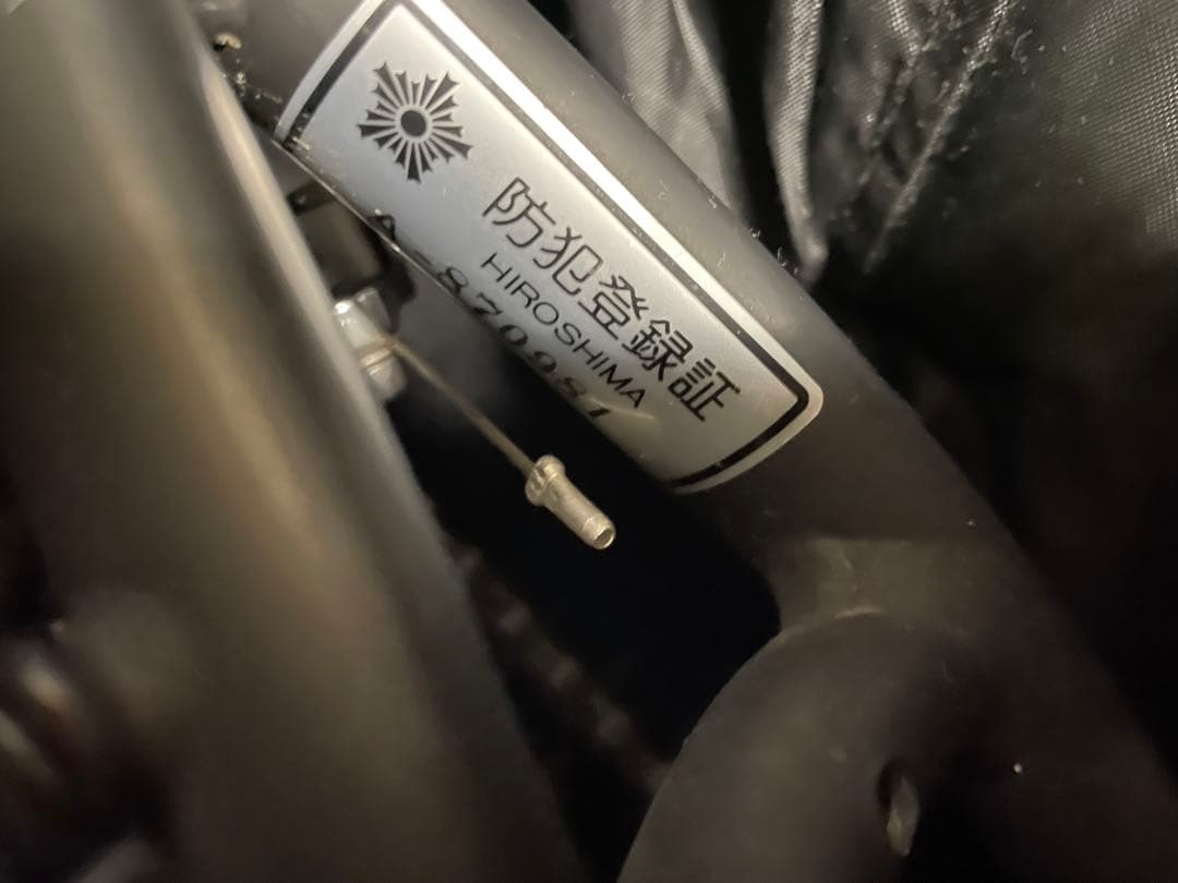 DAHON VISC. P20　Matt Black Limited