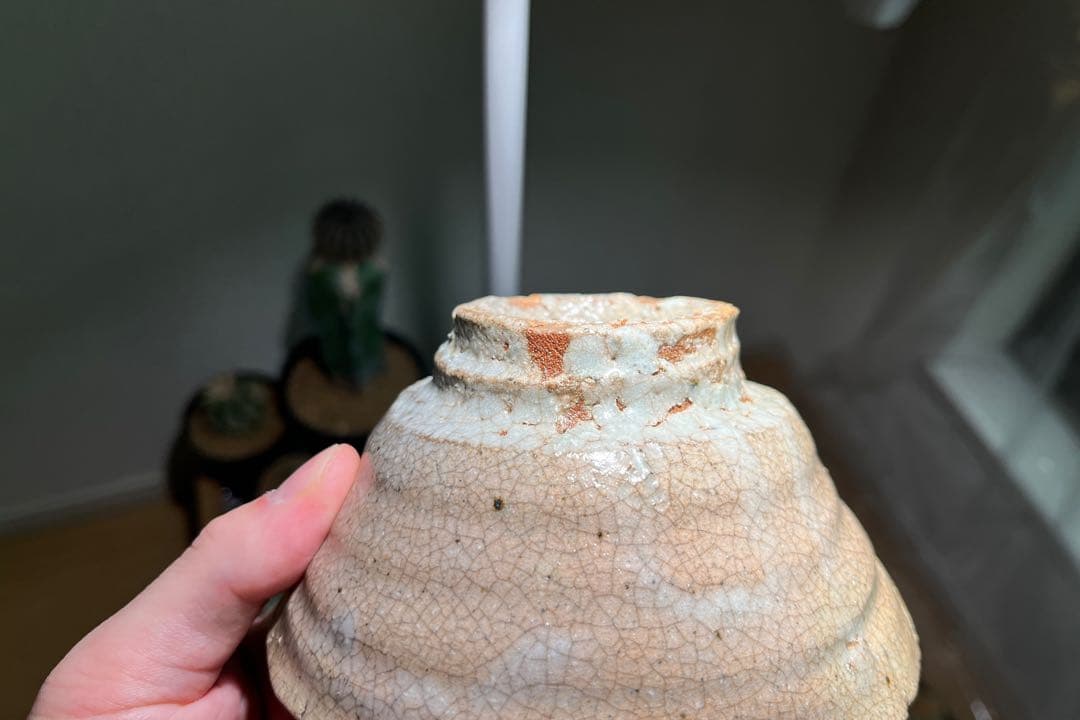 崎陽高麗 小井戸茶碗 （川瀬 隆一郎作）共箱 【茶道用抹茶碗】