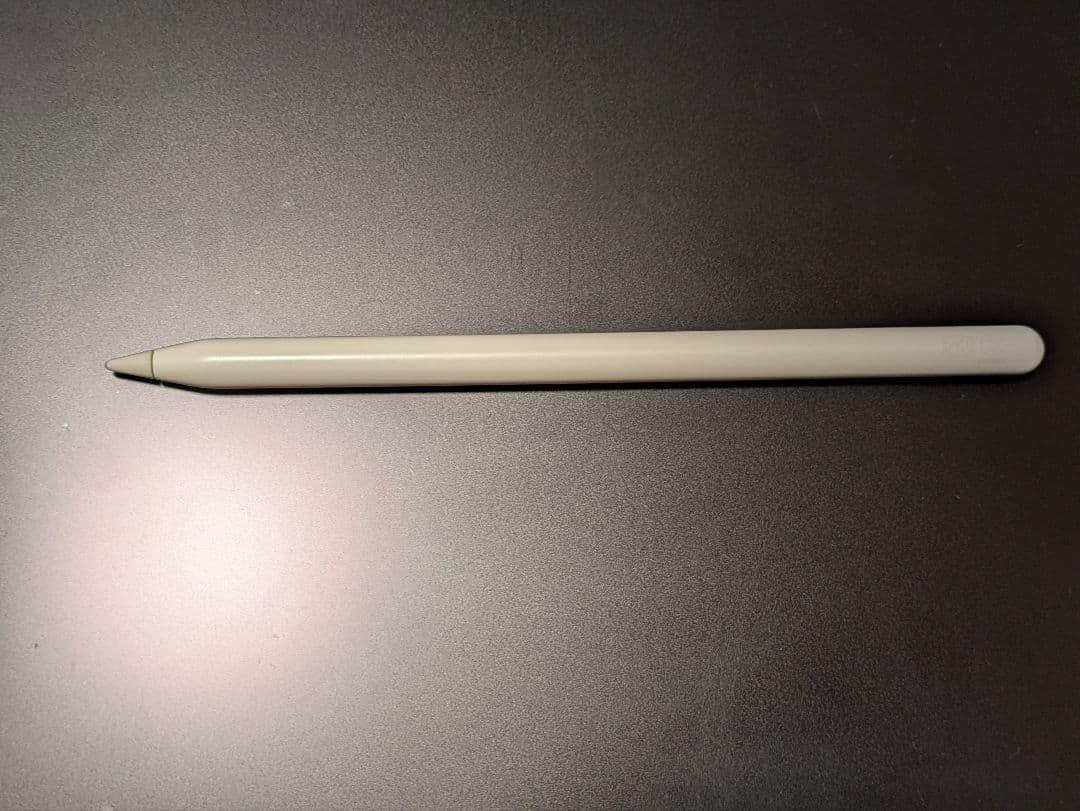 【ジャンク】iPad pro 第3世代 12.9インチ 充電に難アリ