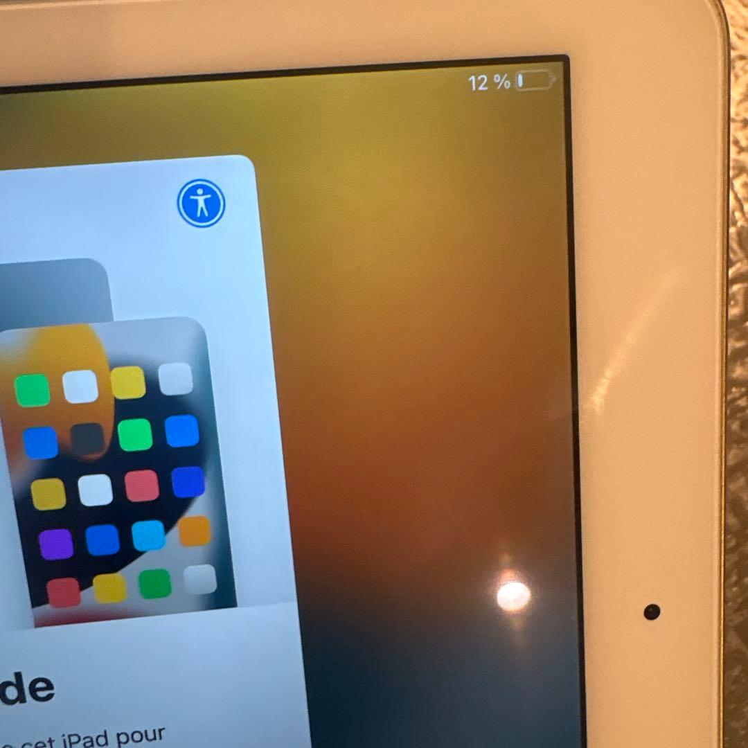 Apple iPad 本体