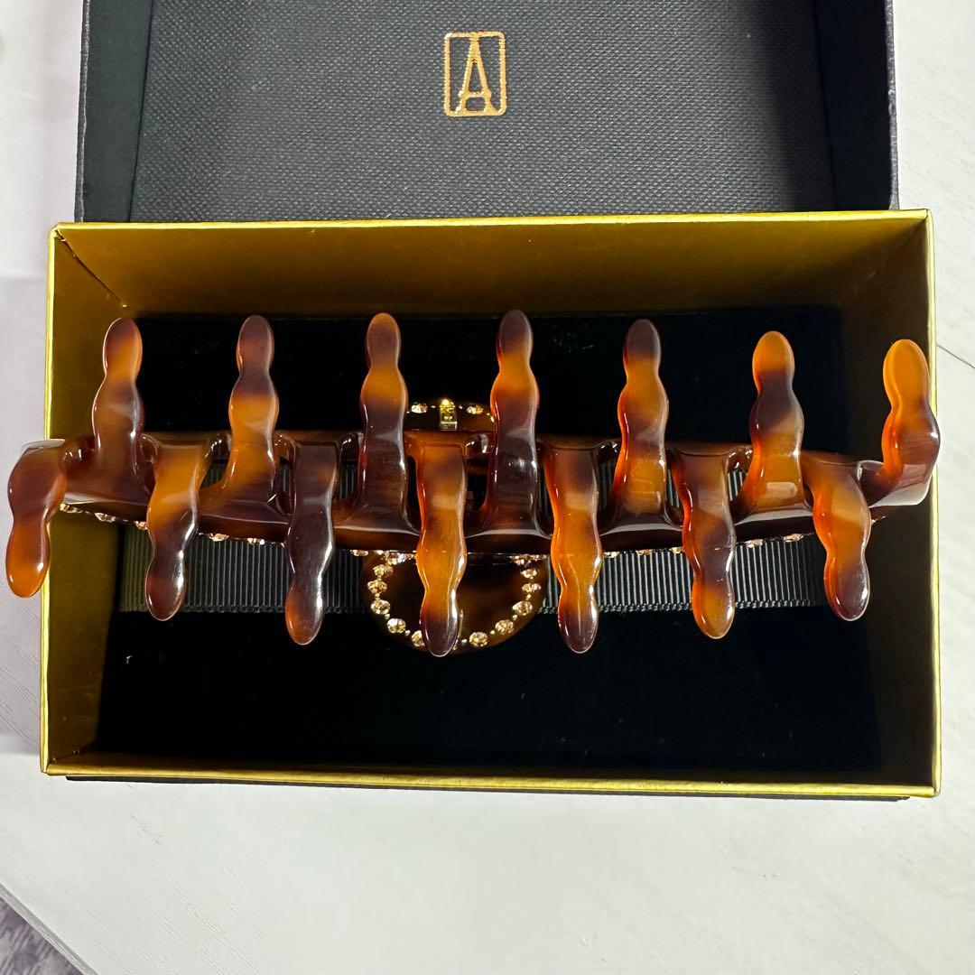 ALEXANDRE DE PARIS クリップ