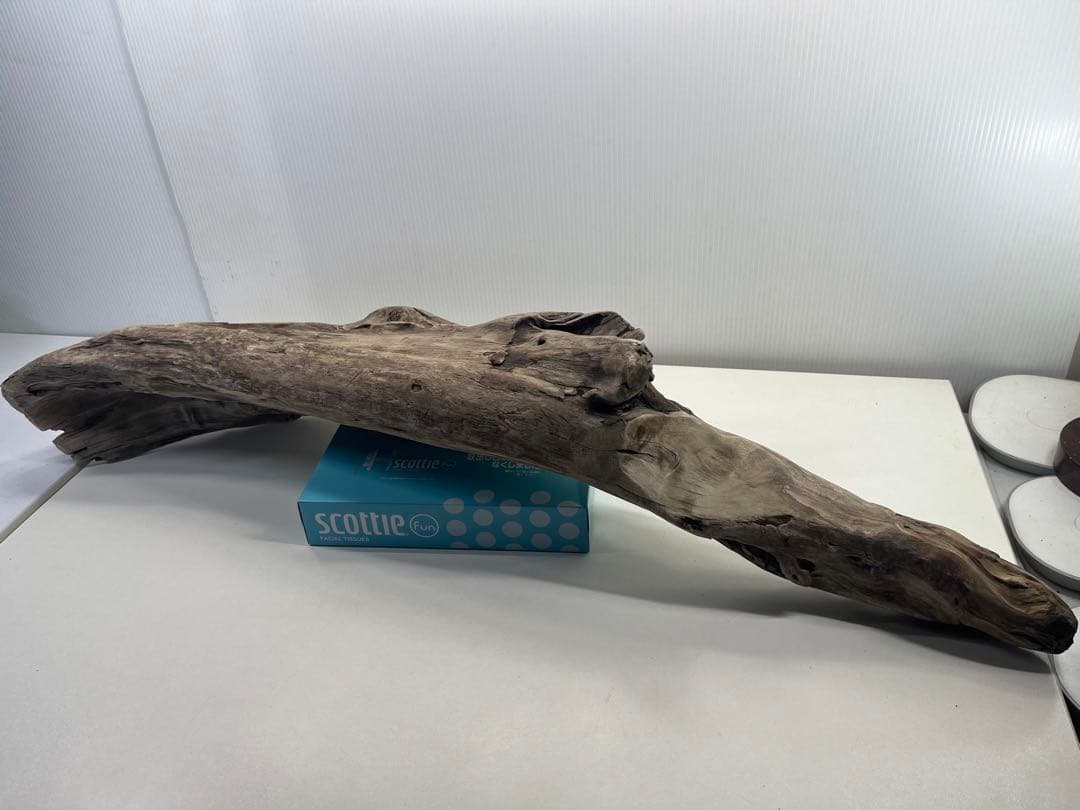 V84特大流木 アク抜き済み流木 爬虫類シェルター 登り木 インテリア 生け花