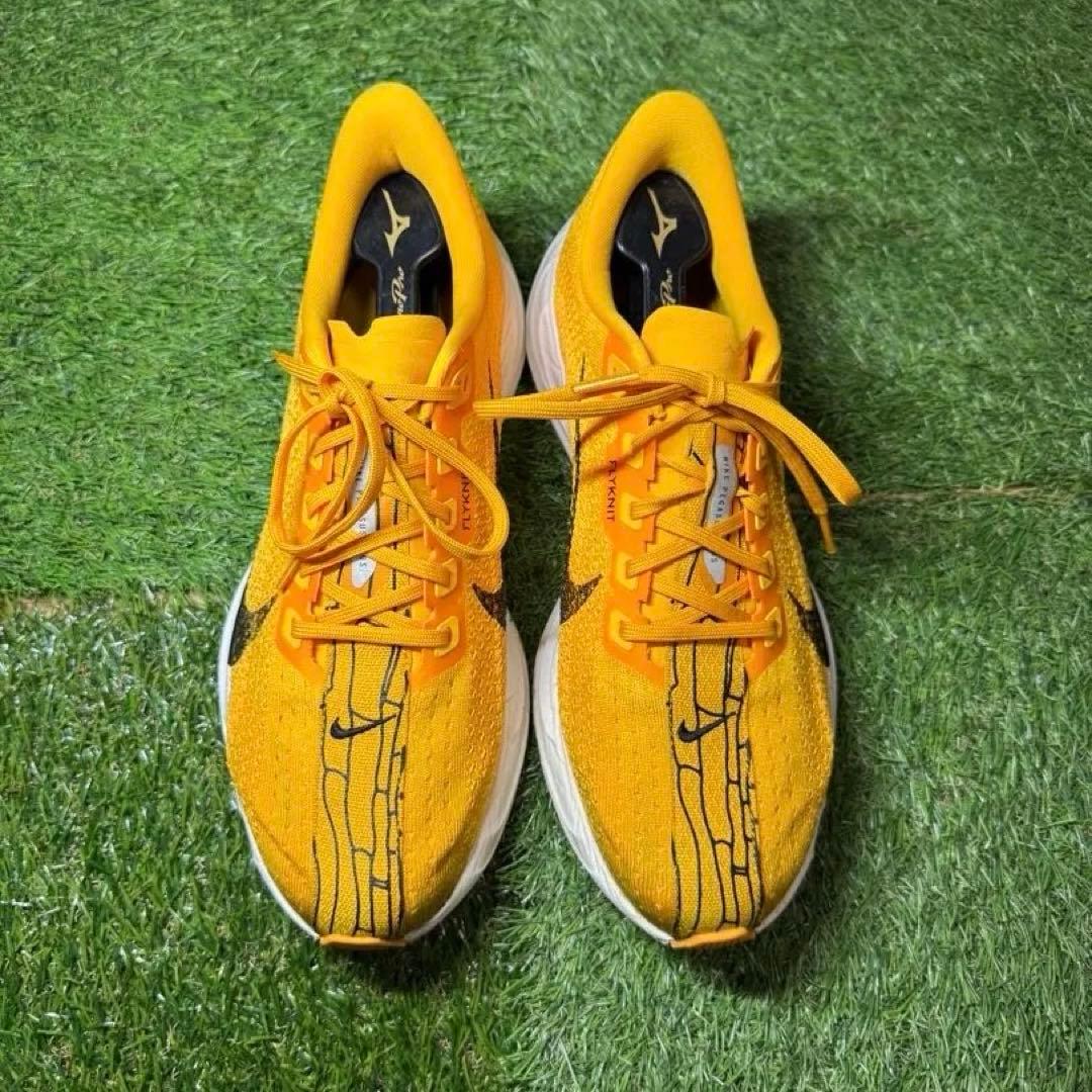 Nike ペガサスプラス メンズ ランニングシューズ 26.5cm