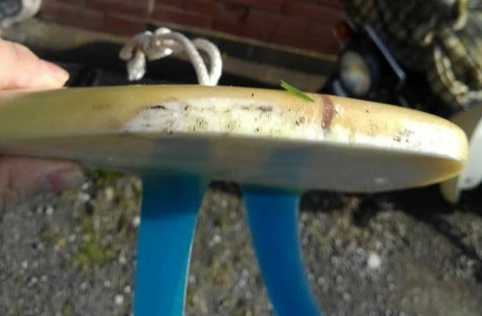 売り切り　Local Motionサーフボード