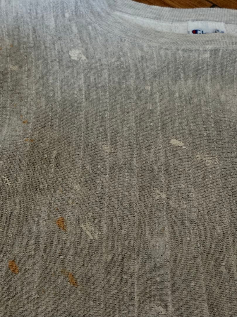 珍品 90's champion reverse weave ストライプ柄