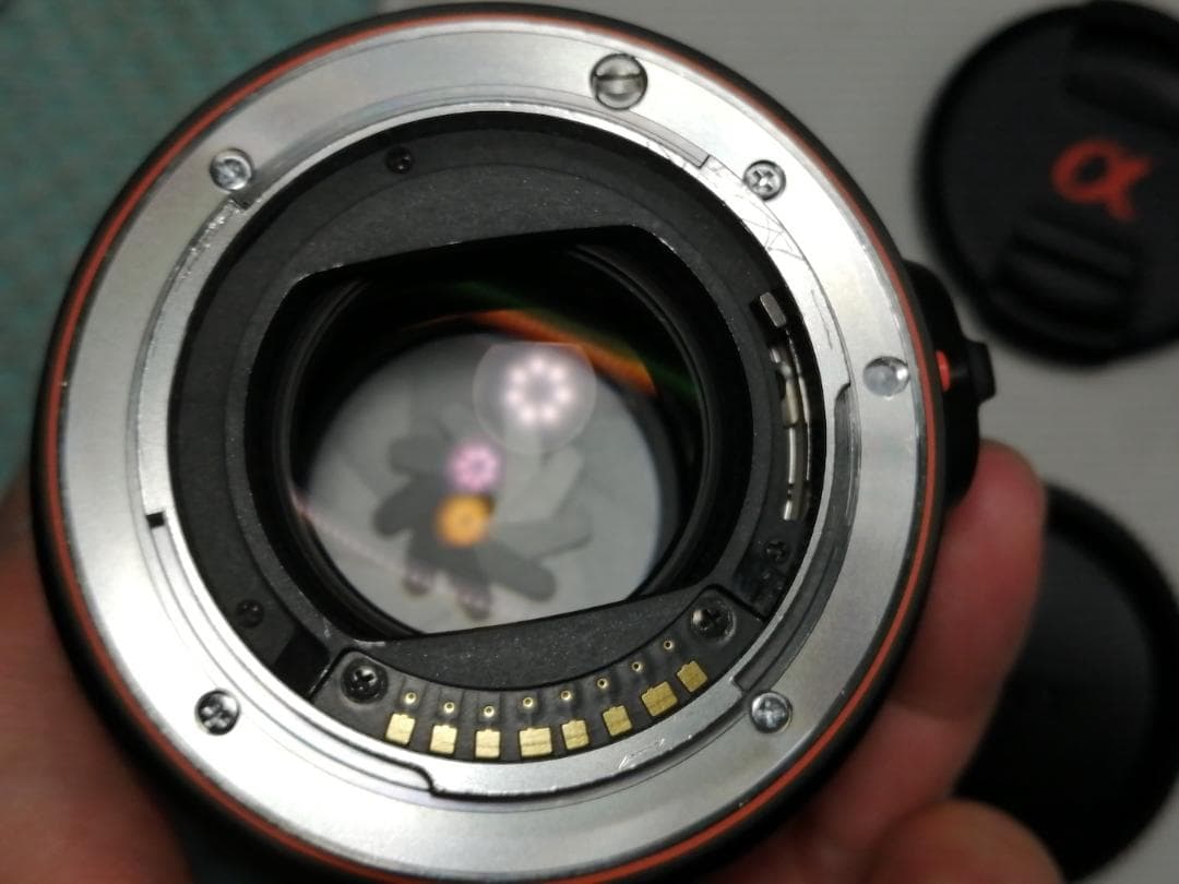 レンズ(単焦点) SONY MACRO 100mm F2.8 SAL100M28 #7384