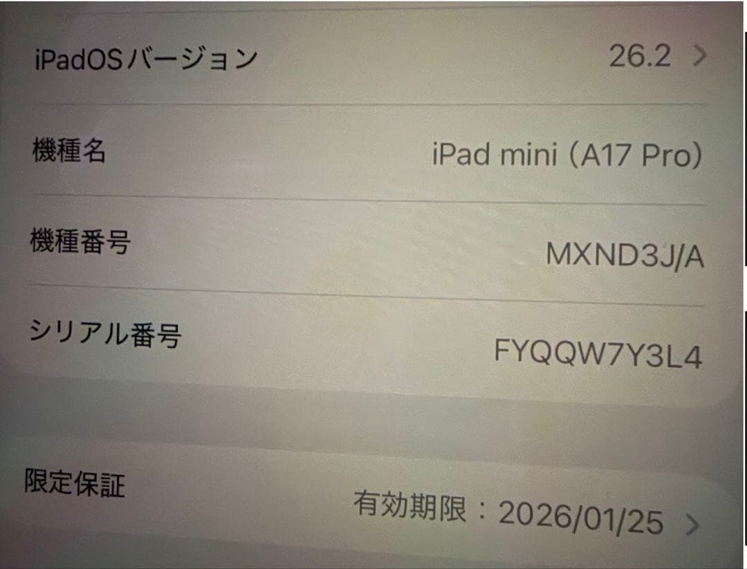 iPad本体 ipadminiA17pro256GB(wifi)+ApplePencilPro