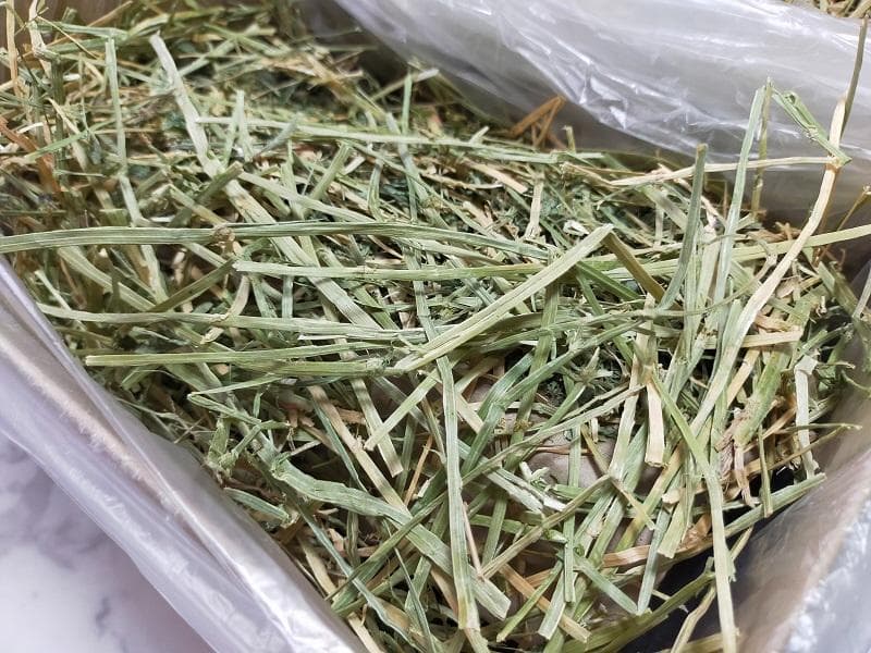 US産 チモシー 50kg ２番刈り ソフトSプレミアム