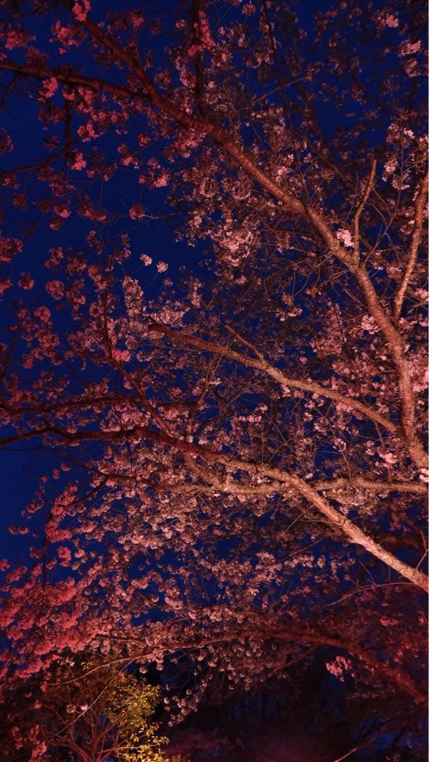 フ*ー様 超美品 FUJIFILM X-S10 ダブルズームキット 512GB