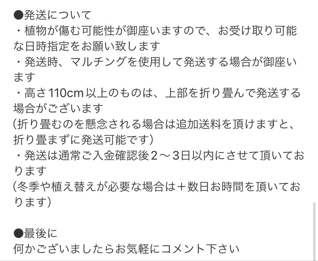 ［現品］【希少】20番　モンステラ　斑入り　観葉植物　室内　レア　綺麗　大型