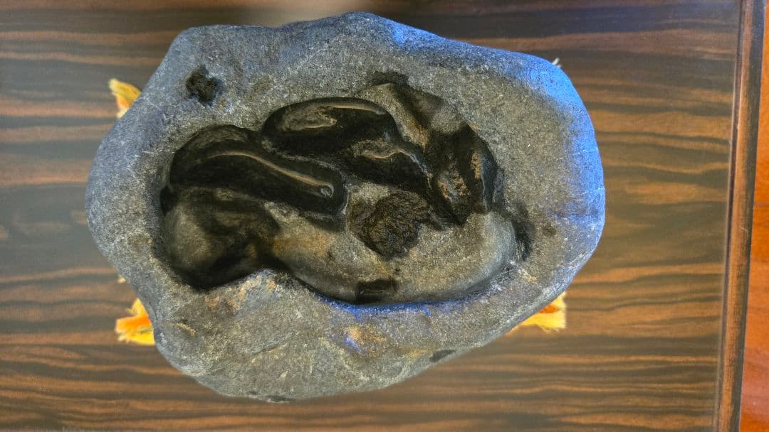 八海石 9.5kg メダカ鉢 天然石