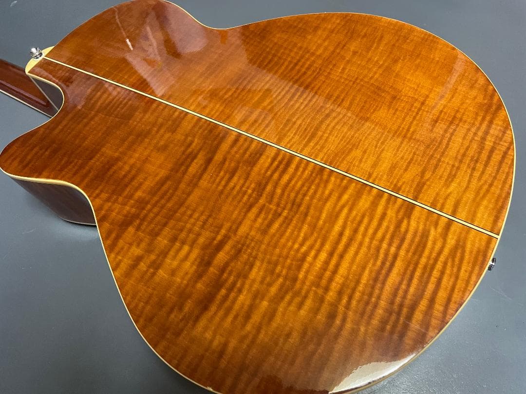 ギター Takamine Cooder TCP-560VB