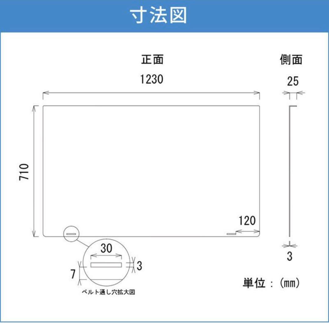 ブルーライトカット 有機ELテレビ 保護パネル 55インチ 3mm厚