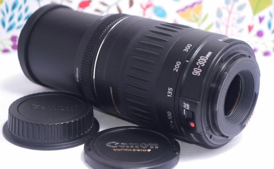 ★美品★一眼用 超迫力望遠レンズ キヤノン EF90-300mm Canon