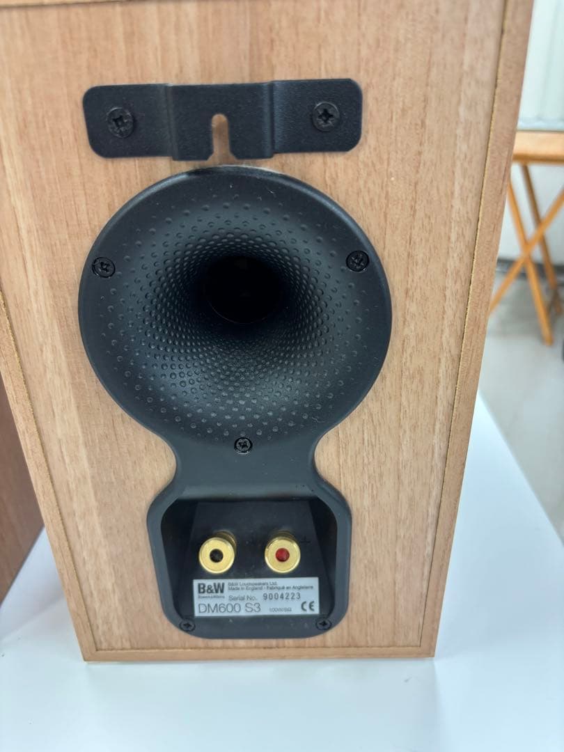 Ｂ＆W ＤM600 S3