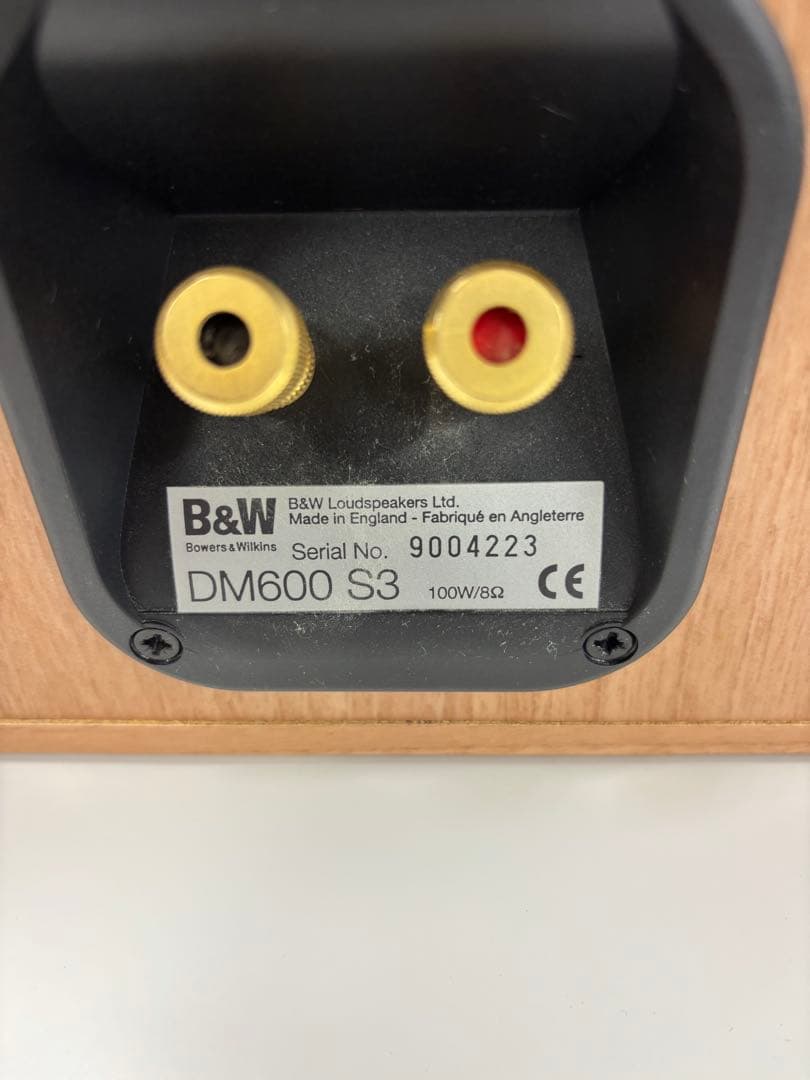 Ｂ＆W ＤM600 S3