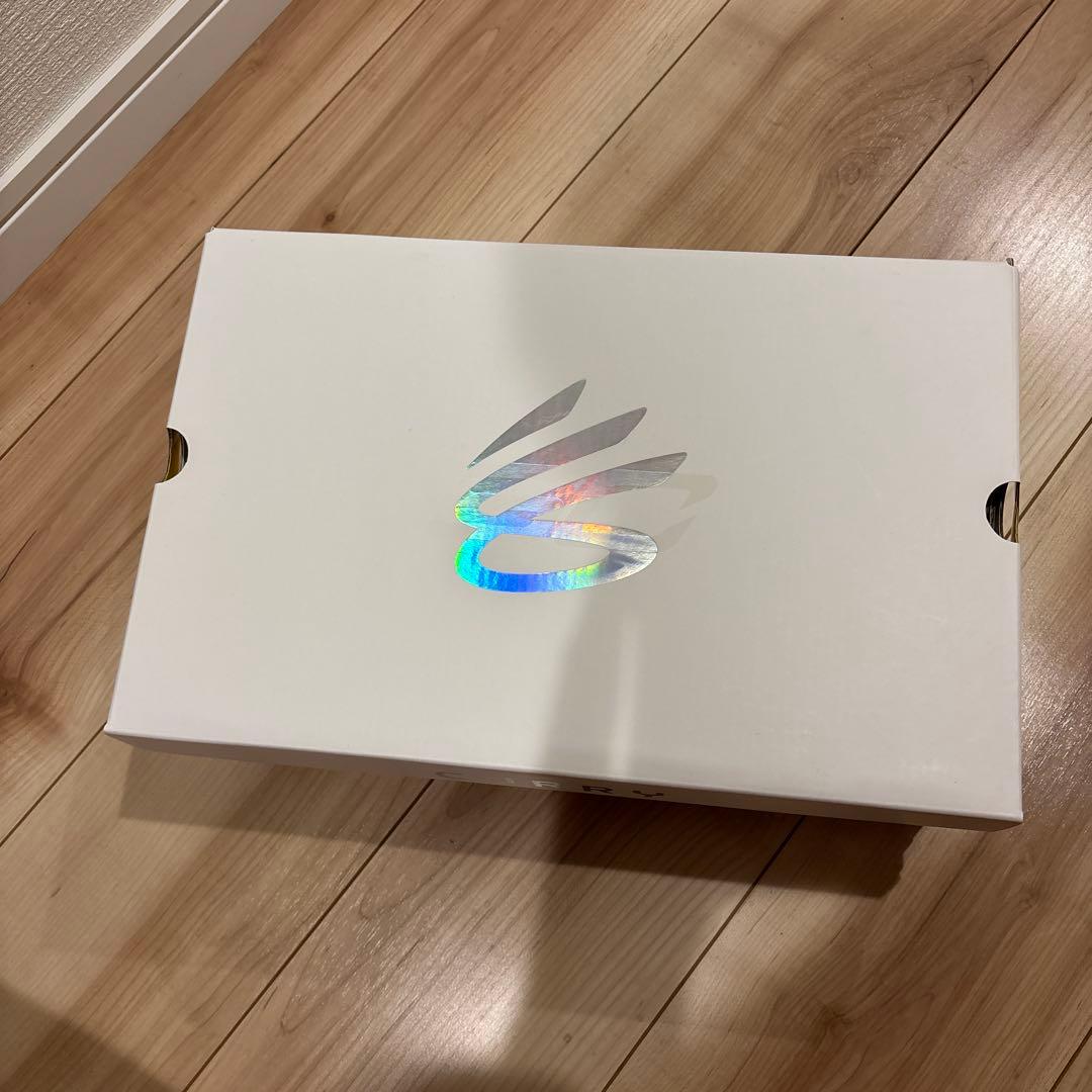 カリー　フロトロ 4 28センチ