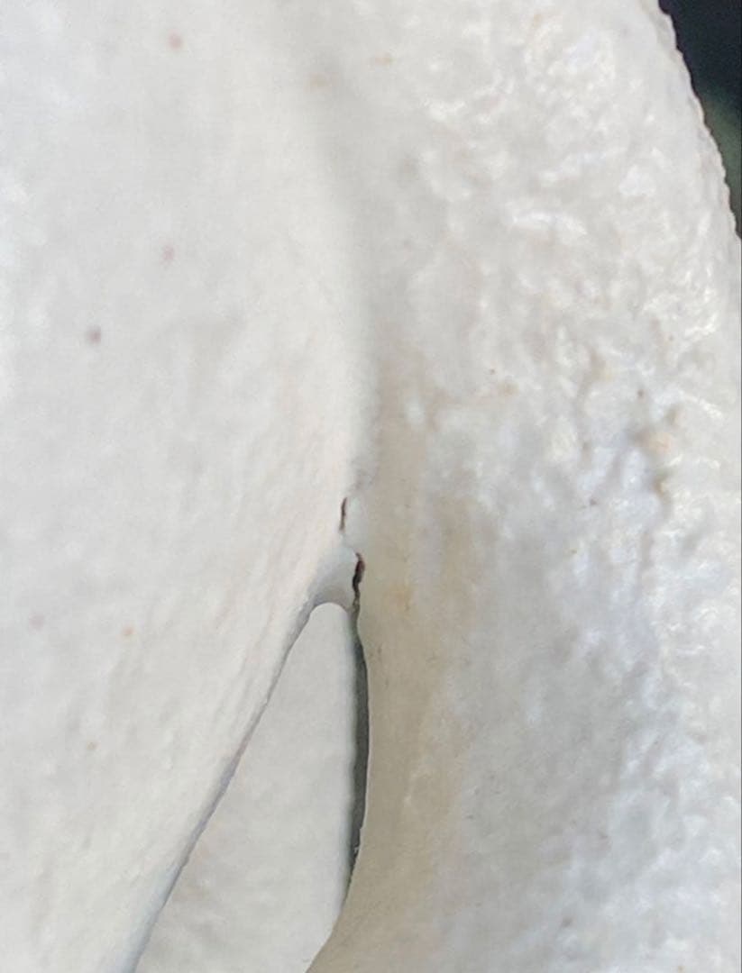 中古品【陶器製　猫】2点セット☆