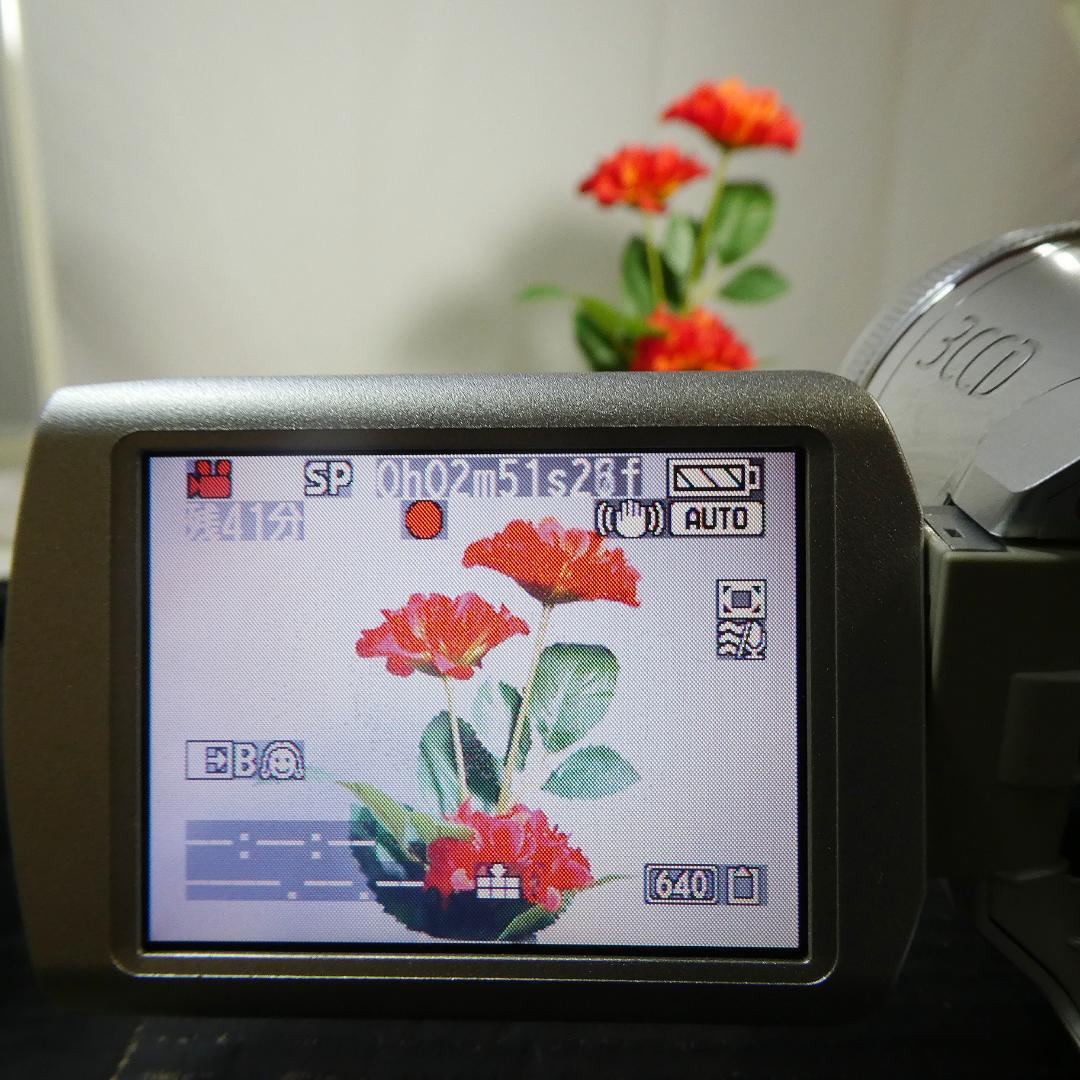 動作良好 パナソニック NV-GS250 MiniDVビデオカメラDVD化に最適