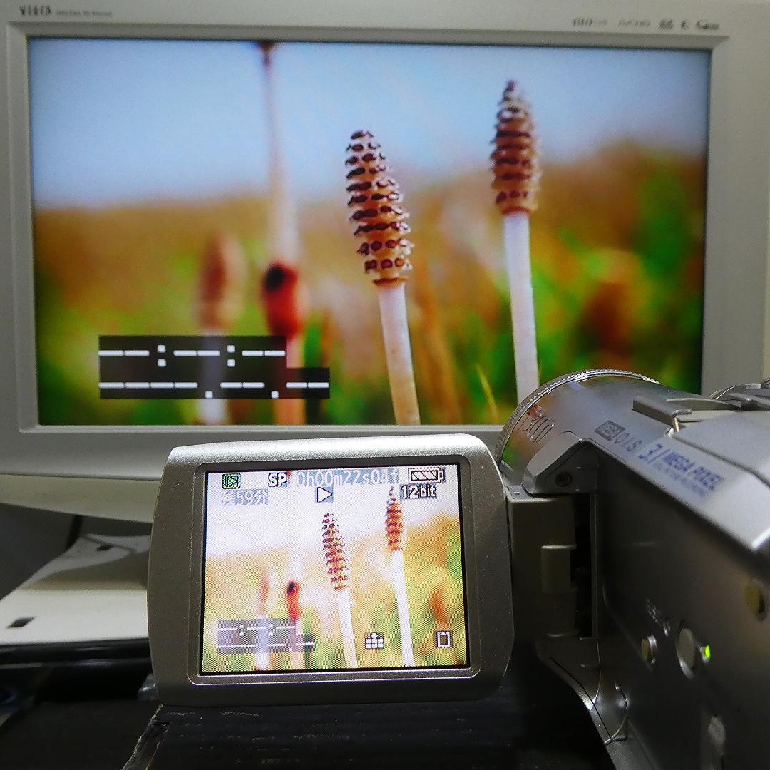 動作良好 パナソニック NV-GS250 MiniDVビデオカメラDVD化に最適