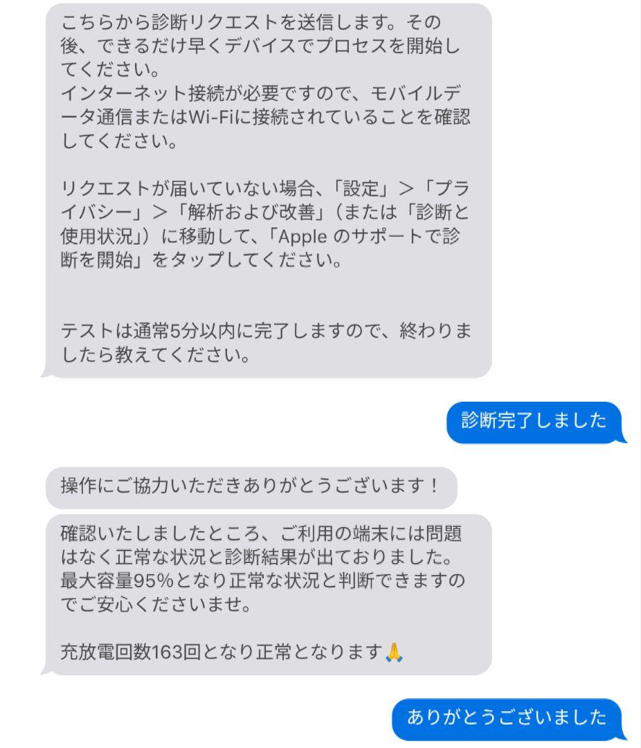 バッテリー95%【iPad mini 5世代 64GB WiFi】充放電163回